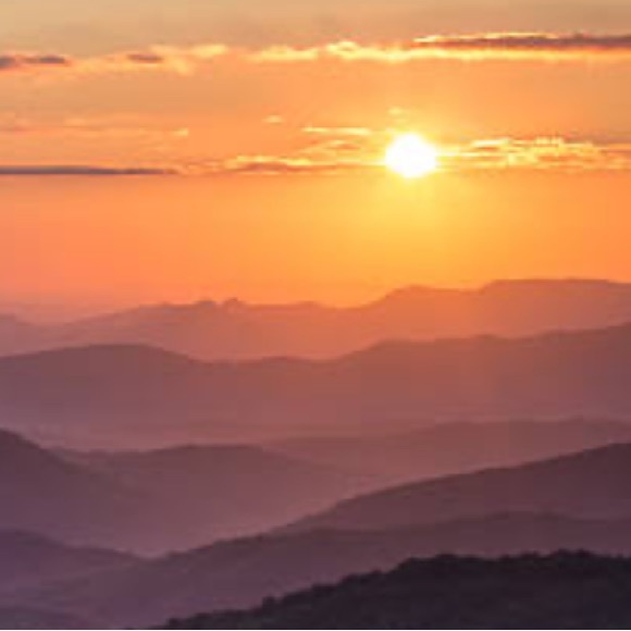 Meet your Posher, Jenny - Picture 1 of 1